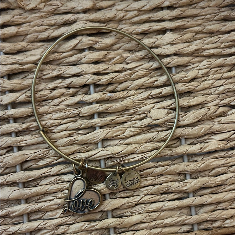 Alex and Ani Gold Love Charm Bracelet